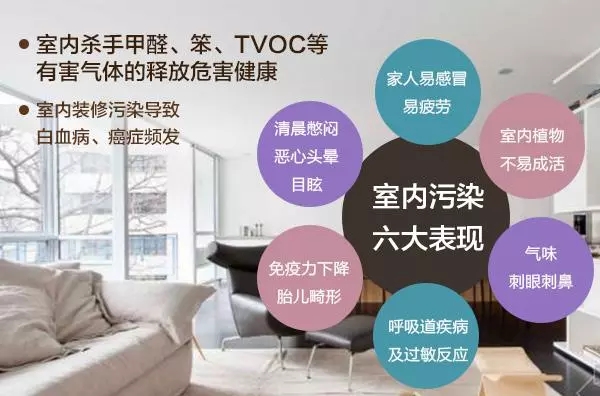 裝修污染早已伸向了學(xué)校？中學(xué)生無緣高考的背后是什么？